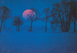 Illustration article Flèche sensible 2