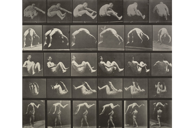 muybridge.png