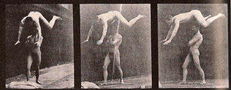 muybridge1.jpg