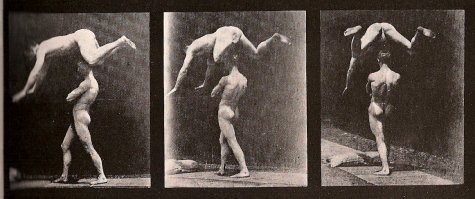 muybridge2.jpg